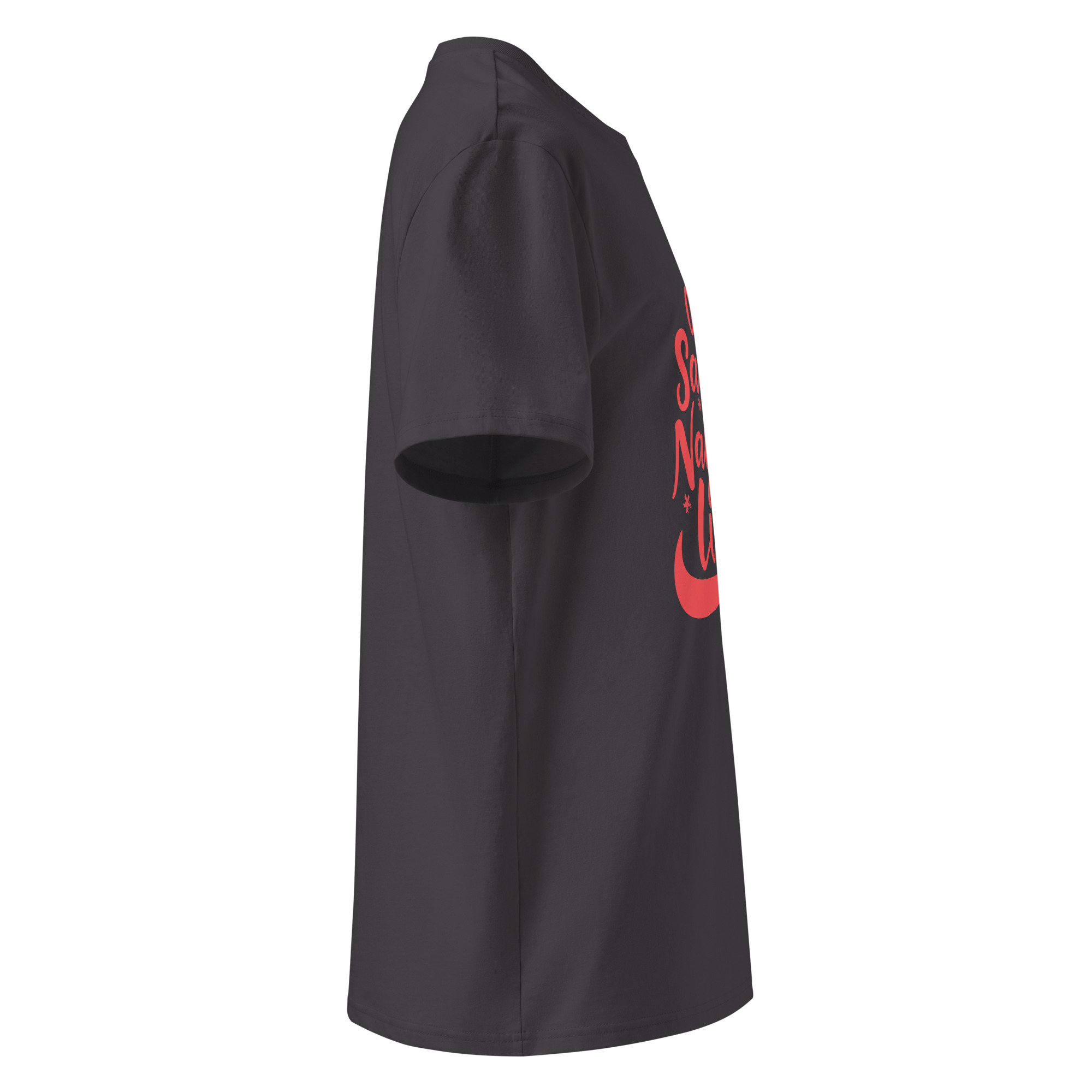 unisex-organic-cotton-t-shirt-anthracite-right-68340758047d0.jpg On Naughtty List Unisex organic cotton t-shirt